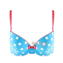 青色文胸芬怡內(nèi)衣 價格、比價與產(chǎn)品評測