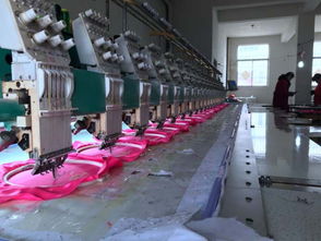 蘇北小鎮的雄心 情趣內衣產業從“零散”到“鏈條”的整合之路