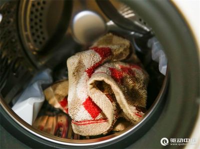 石頭分子篩迷你洗烘一體機 M1評測 方寸之間的專業(yè)守護，精致衣物洗護新革命